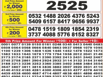 Dear Lottery Chart 2024