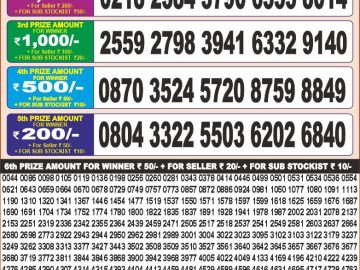 Dear Lottery Chart 2024