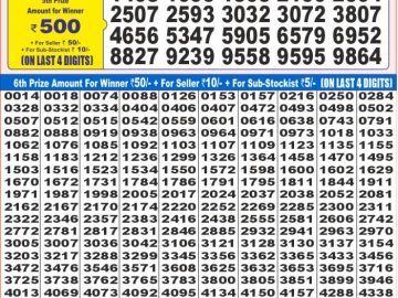 Dear Lottery Chart 2024