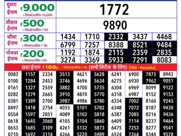 Dear Lottery Chart 2024