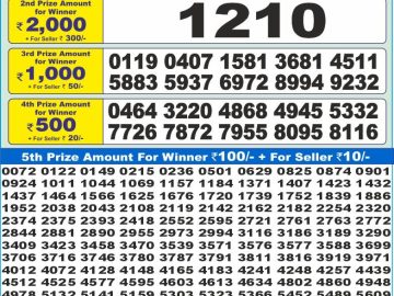 Dear Lottery Chart 2024