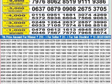 Dear Lottery Chart 2024