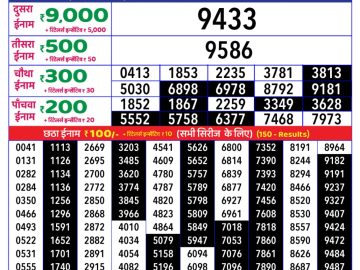 Dear Lottery Chart 2024
