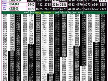 Dear Lottery Chart 2024