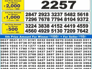 Dear Lottery Chart 2024