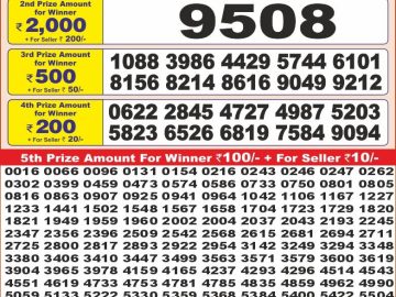 Dear Lottery Chart 2024