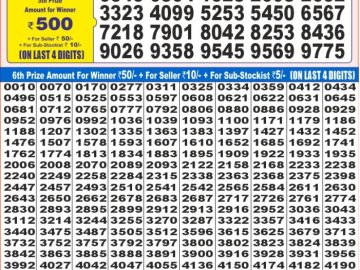 Dear Lottery Chart 2024