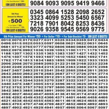 Dear Lottery Chart 2024