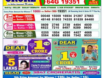 Dear Lottery Chart 2024