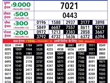 Dear Lottery Chart 2024