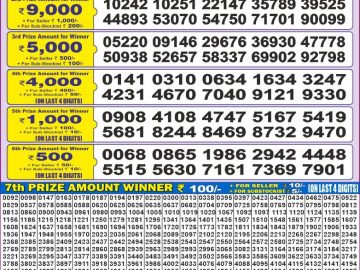 Dear Lottery Chart 2024