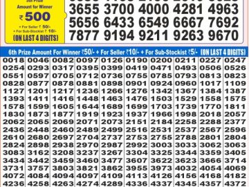 Dear Lottery Chart 2024