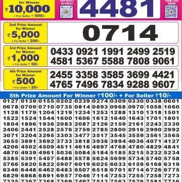 Dear Lottery Chart 2024