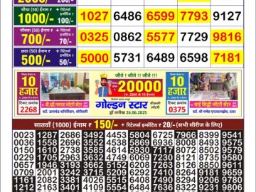 Dear Lottery Chart 2024