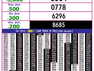 Dear Lottery Chart 2024