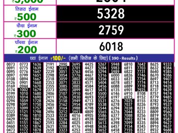 Dear Lottery Chart 2024