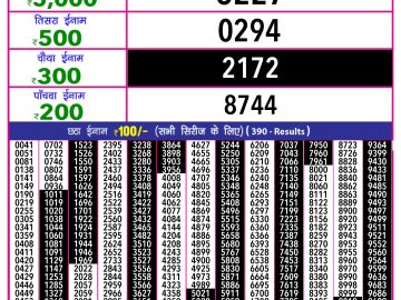 Dear Lottery Chart 2024