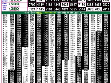 Dear Lottery Chart 2024