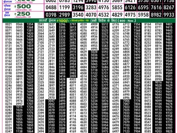 Dear Lottery Chart 2024