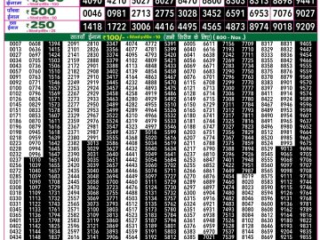 Dear Lottery Chart 2024