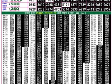Dear Lottery Chart 2024