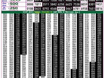 Dear Lottery Chart 2024