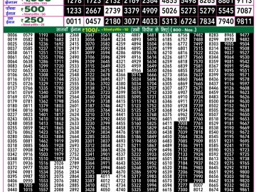 Dear Lottery Chart 2024