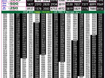 Dear Lottery Chart 2024