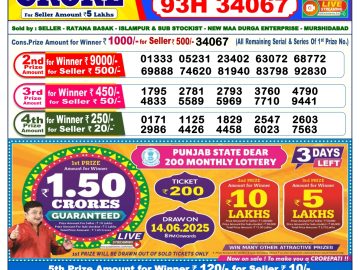 Dear Lottery Chart 2024