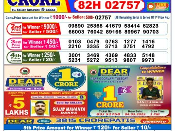 Dear Lottery Chart 2024