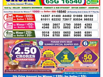 Dear Lottery Chart 2024