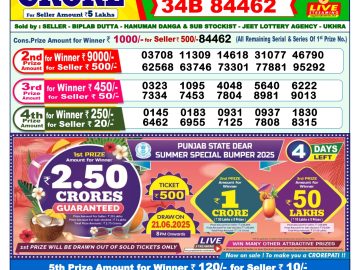 Dear Lottery Chart 2024