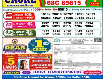 Dear Lottery Chart 2024
