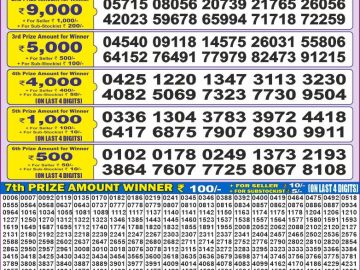 Dear Lottery Chart 2024