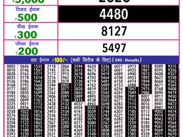 Dear Lottery Chart 2024