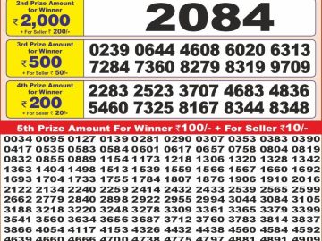 Dear Lottery Chart 2024