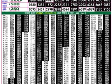 Dear Lottery Chart 2024