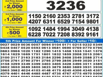Dear Lottery Chart 2024