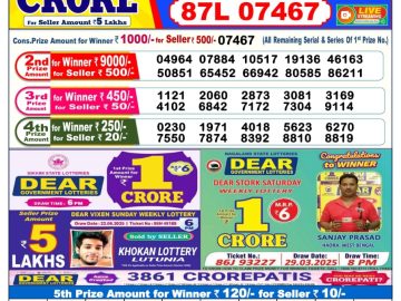 Dear Lottery Chart 2024