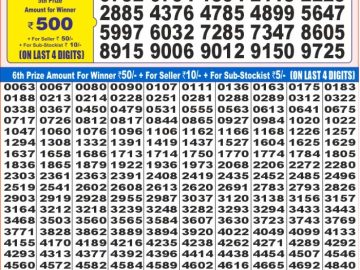 Dear Lottery Chart 2024