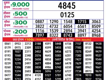 Dear Lottery Chart 2024