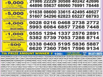 Dear Lottery Chart 2024