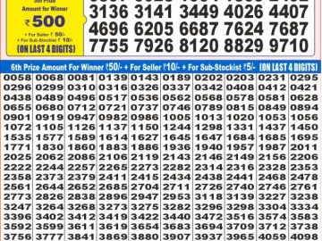 Dear Lottery Chart 2024