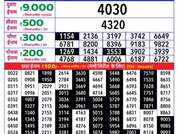 Dear Lottery Chart 2024