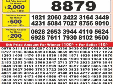 Dear Lottery Chart 2024