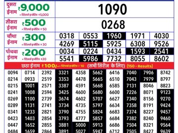 Dear Lottery Chart 2024