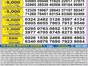 Dear Lottery Chart 2024