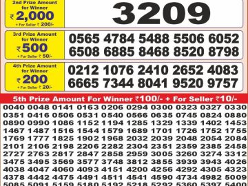 Dear Lottery Chart 2024