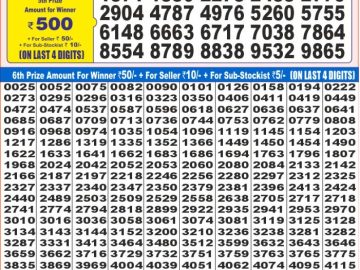 Dear Lottery Chart 2024