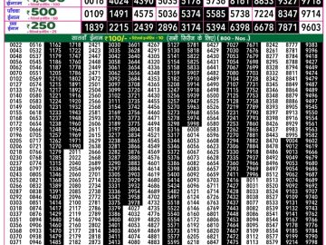 Dear Lottery Chart 2024
